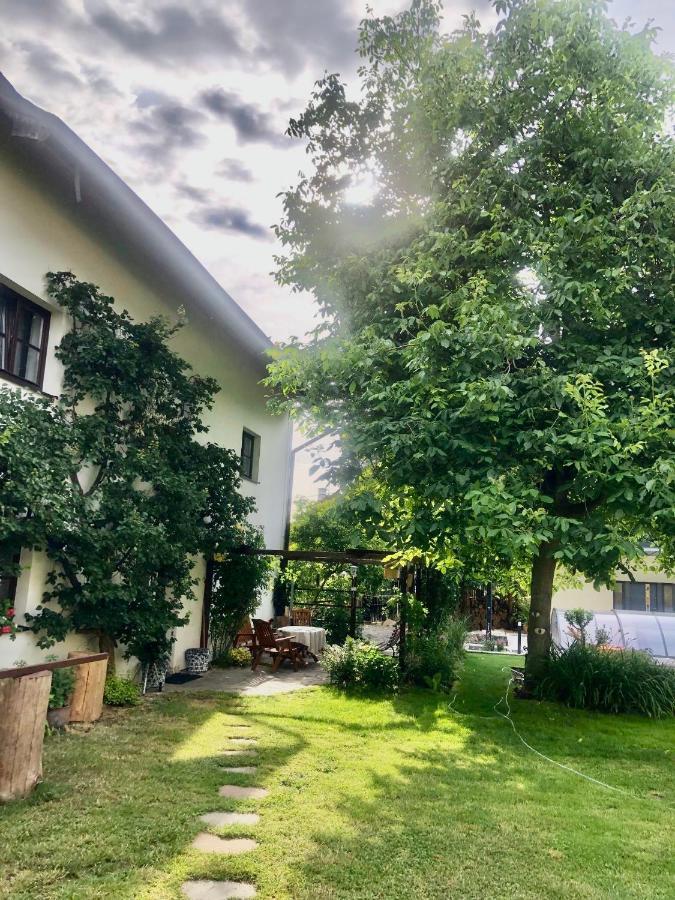 Pokoje V Chalupe Pod Milesovkou Velemin Exterior photo